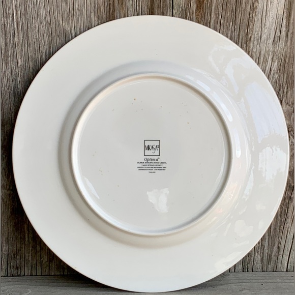 Vintage Discontinued Mikasa Optima SPRING LEGACY 10.75” Dinner Plate Replacement - Picture 9 of 16